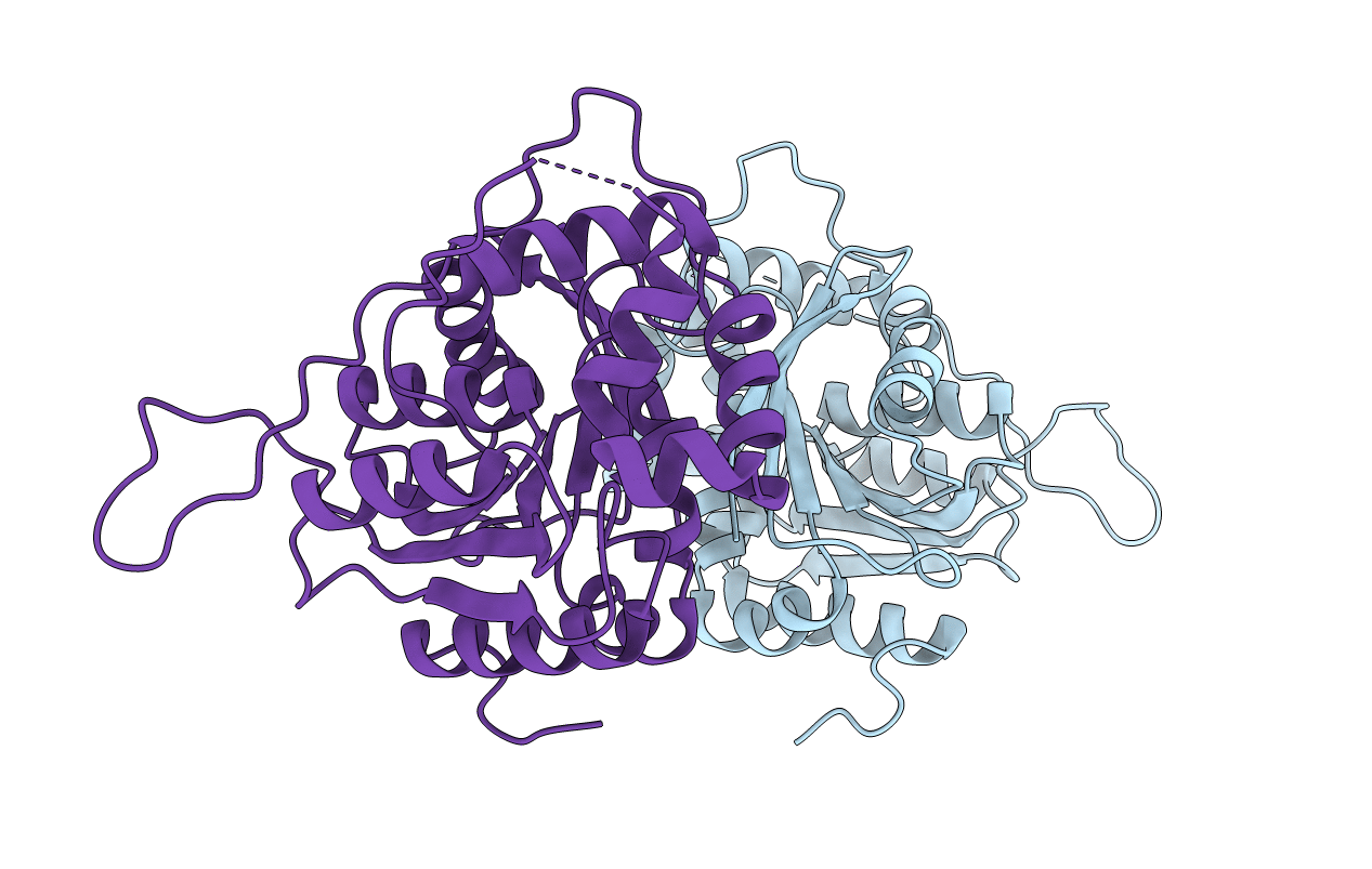 6L4G image