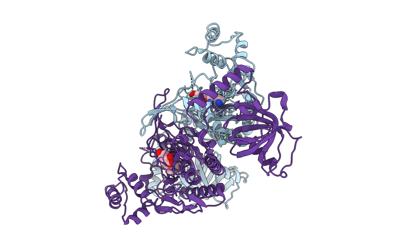 6L4Q image