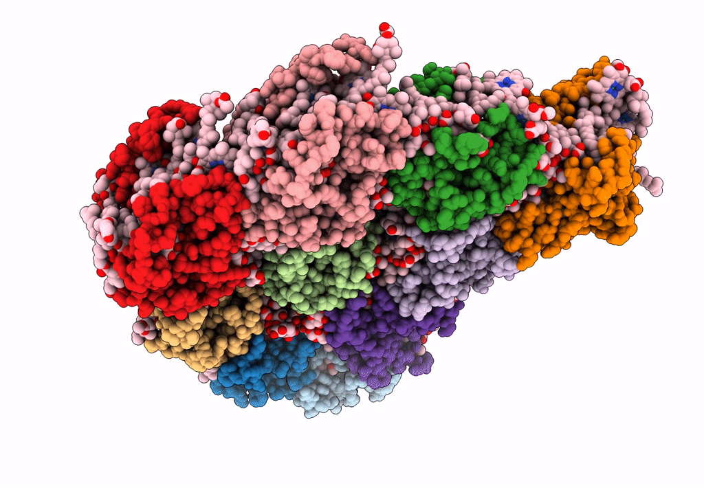 6L4T image