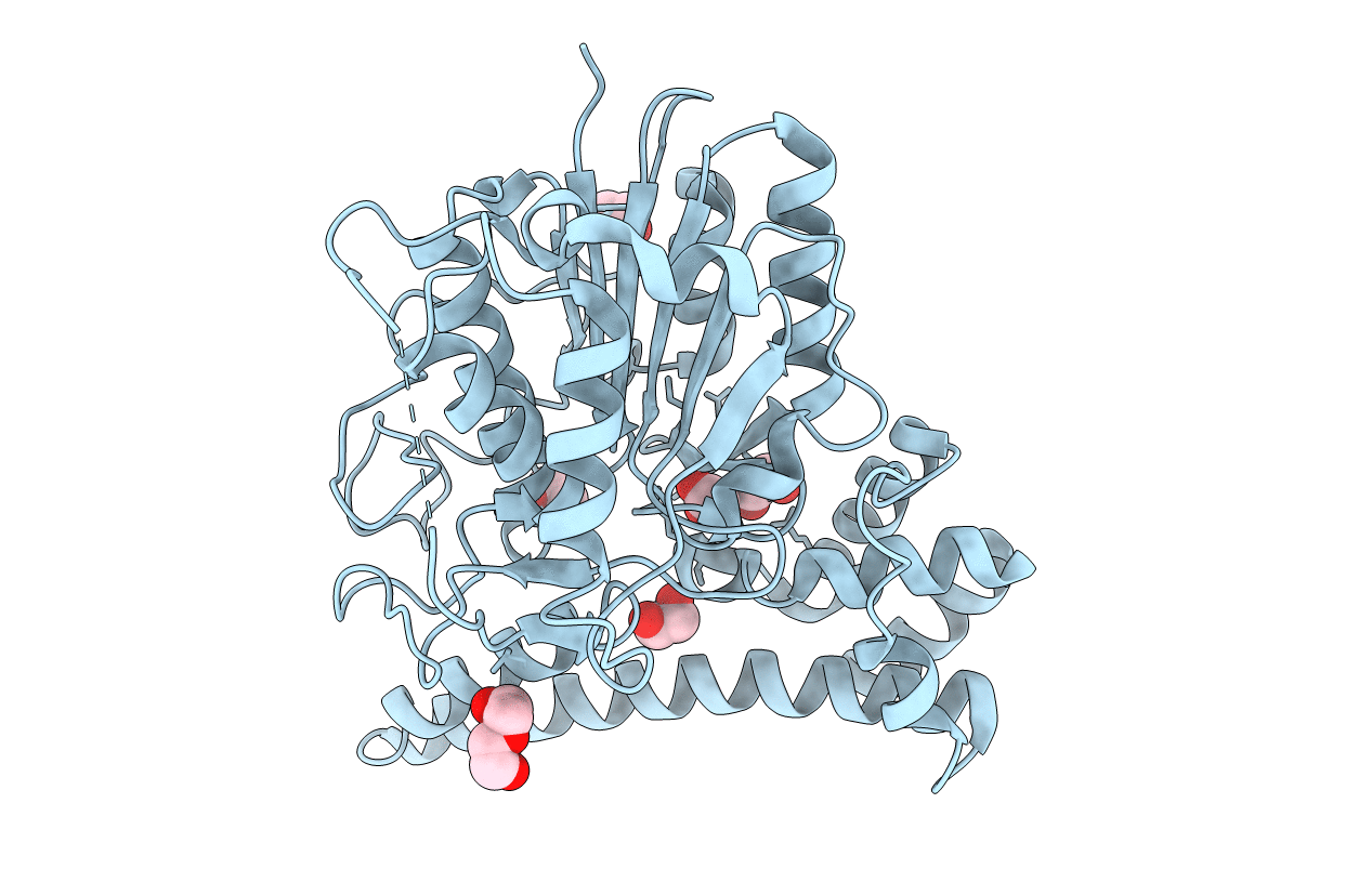 6L4V image