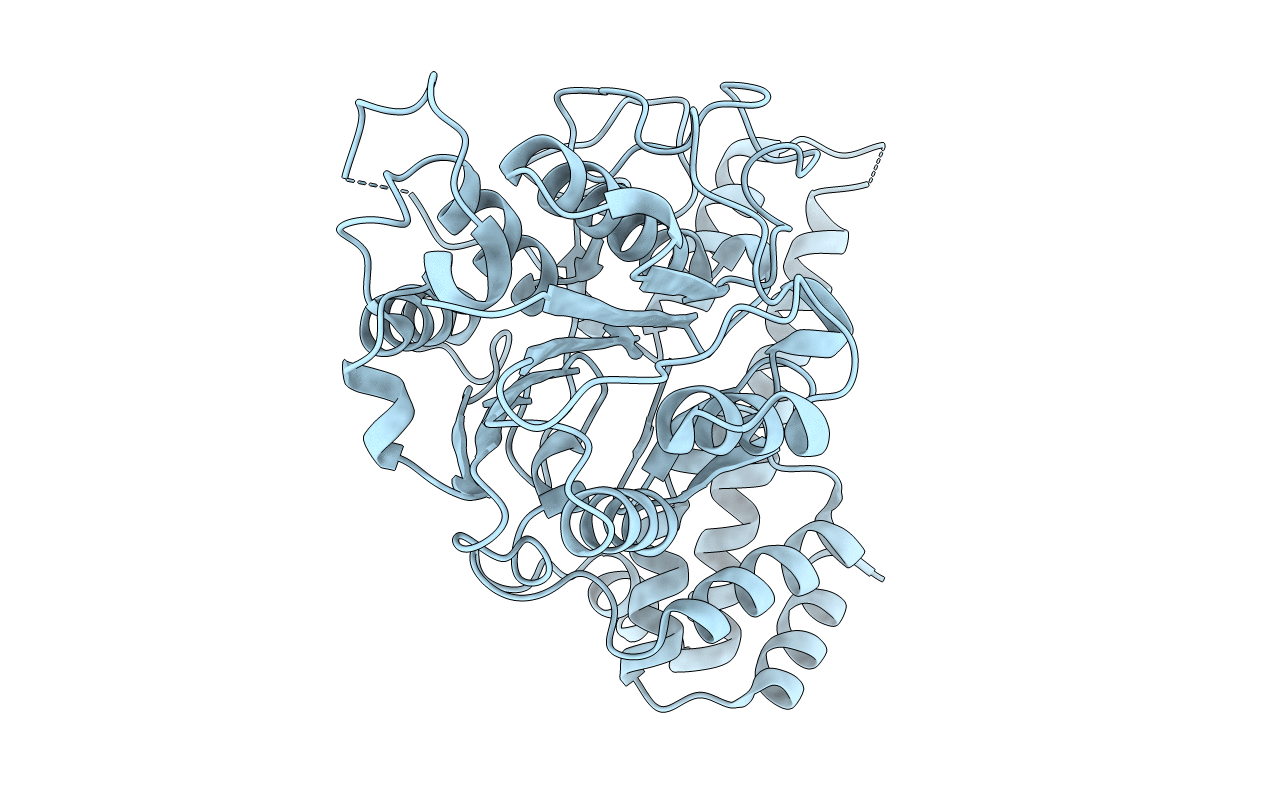 6L4X image