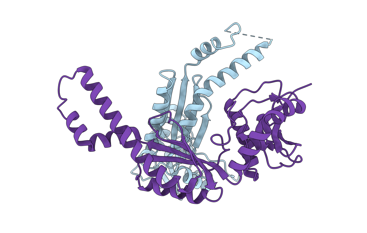 6L5D image