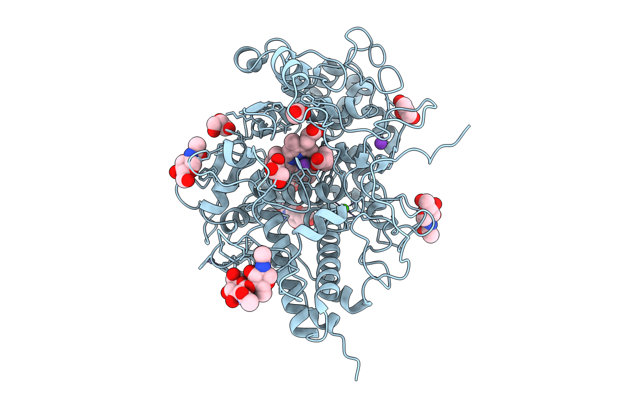 6L5G image