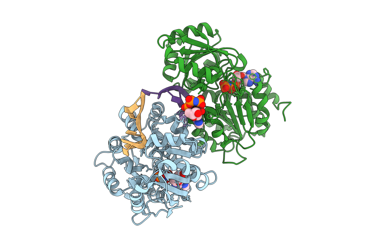 6L5N image