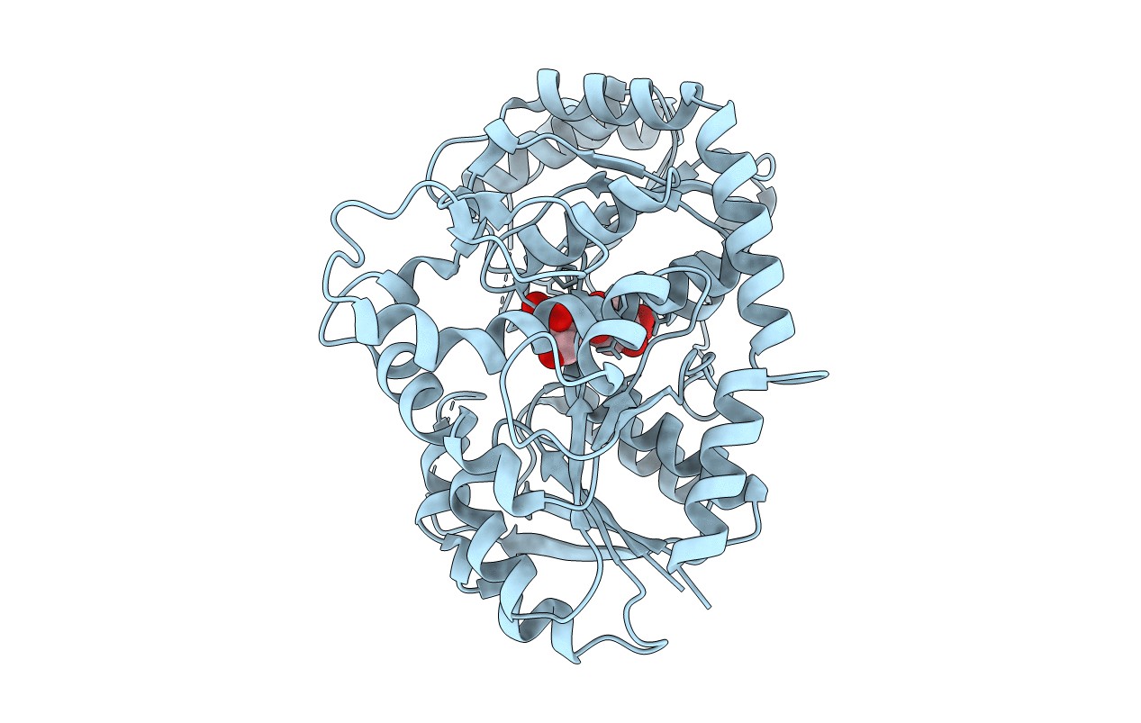 6L5P image
