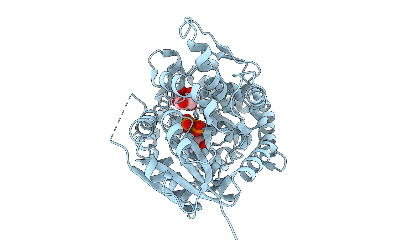 6L5R image