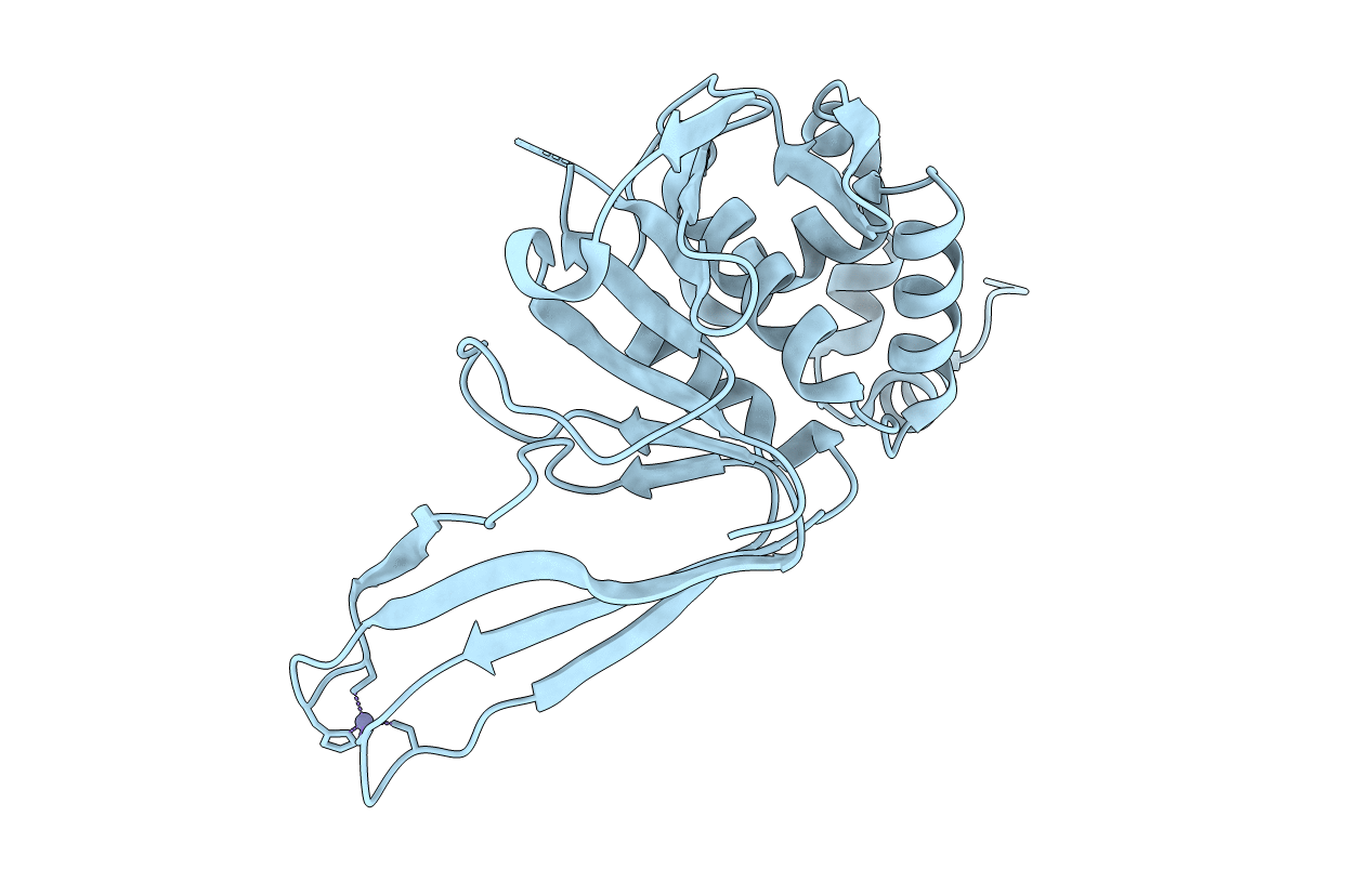 6L5T image