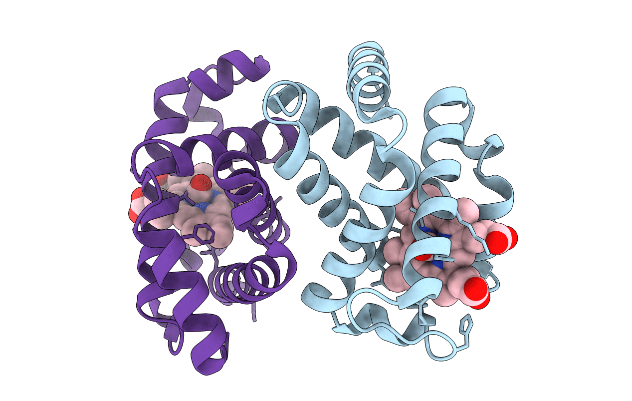 6L5W image