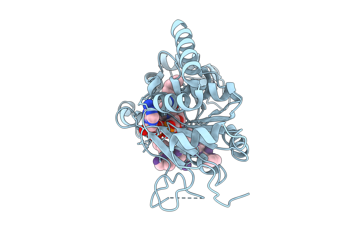 6L66 image