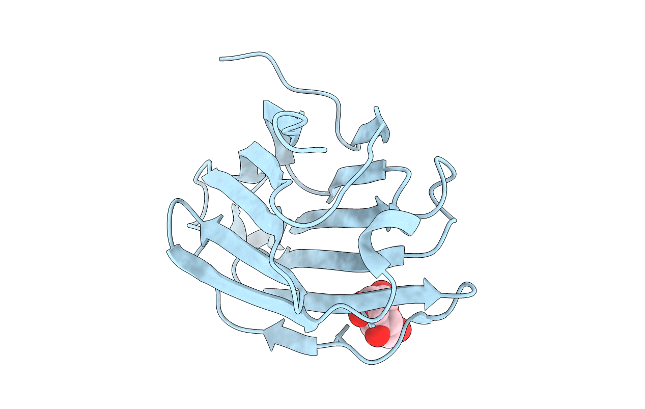 6L6A image