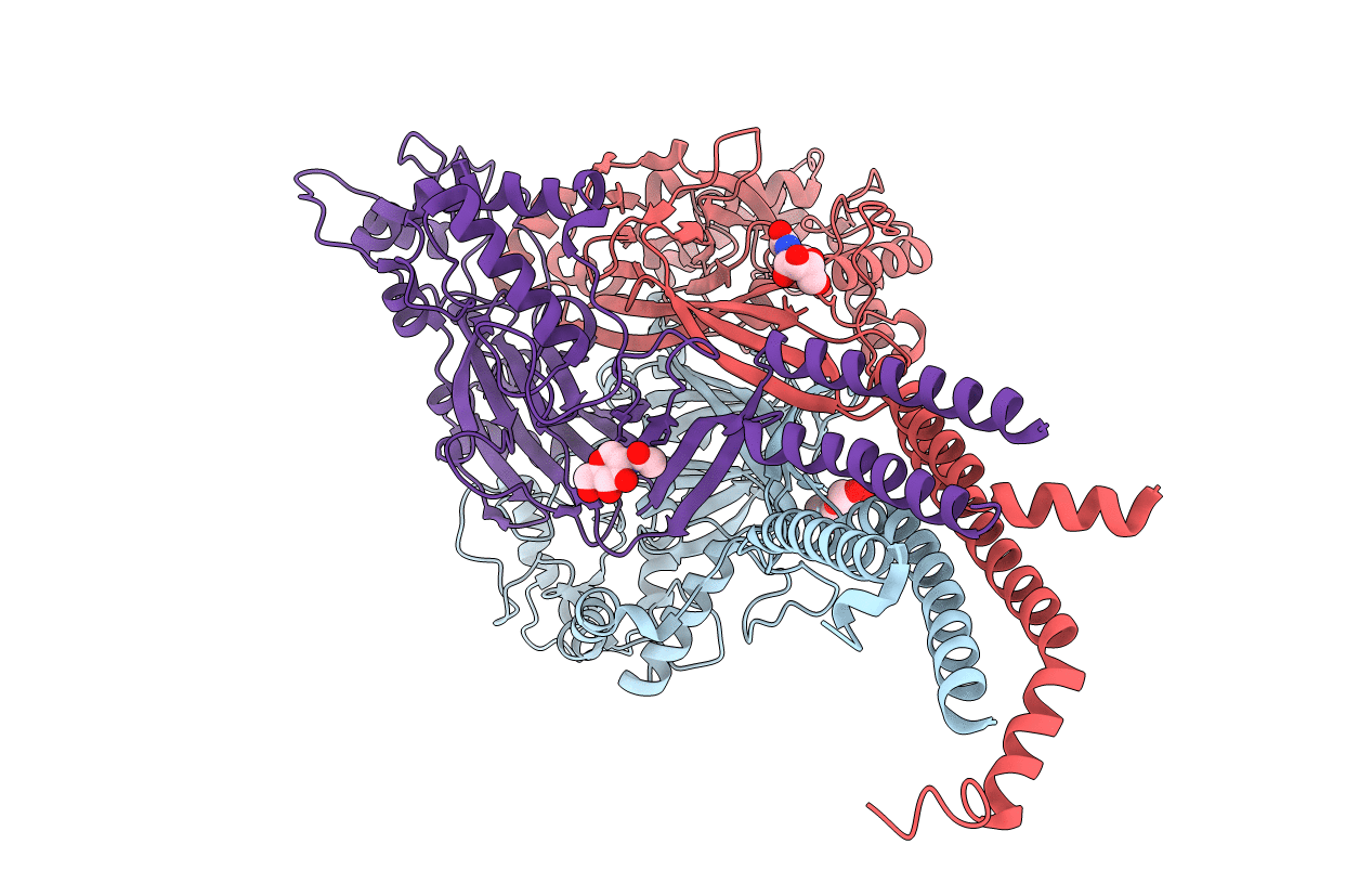 6L6I image