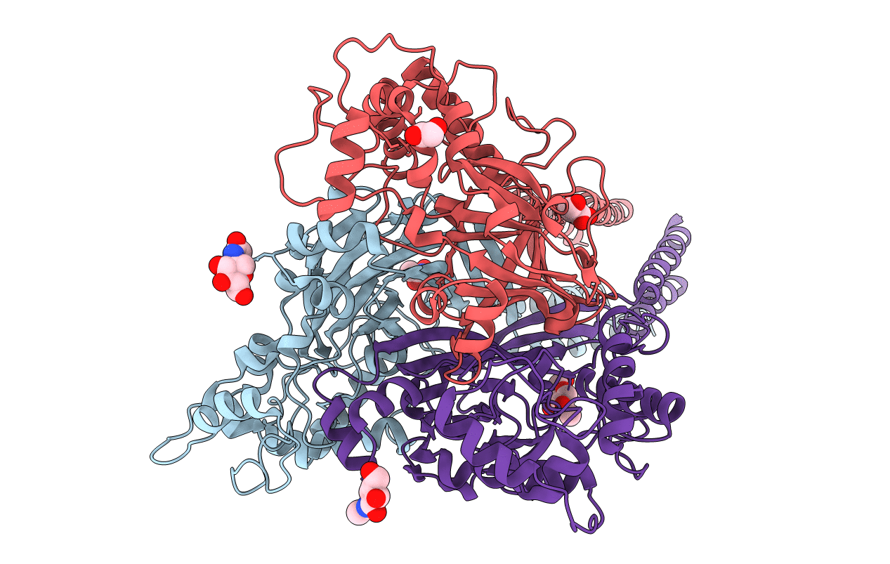 6L6N image