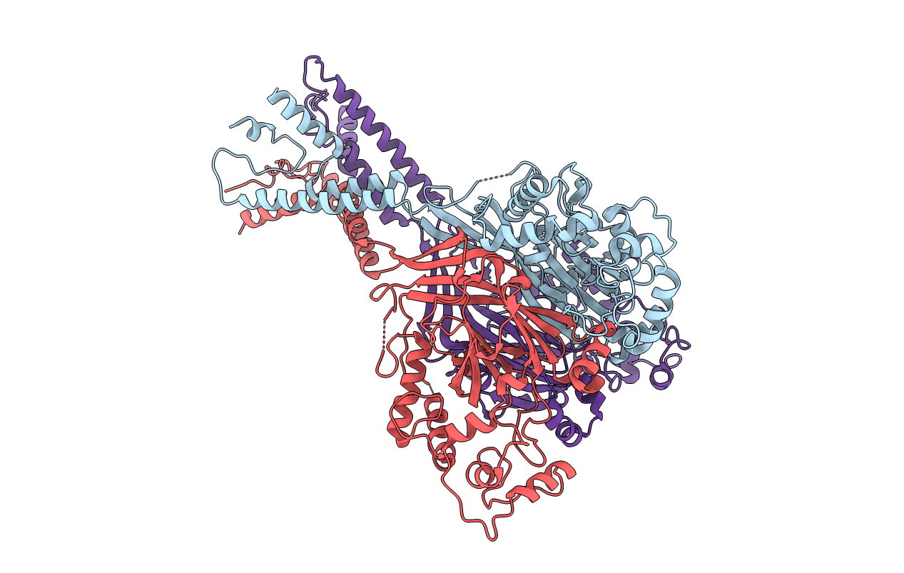 6L6P image