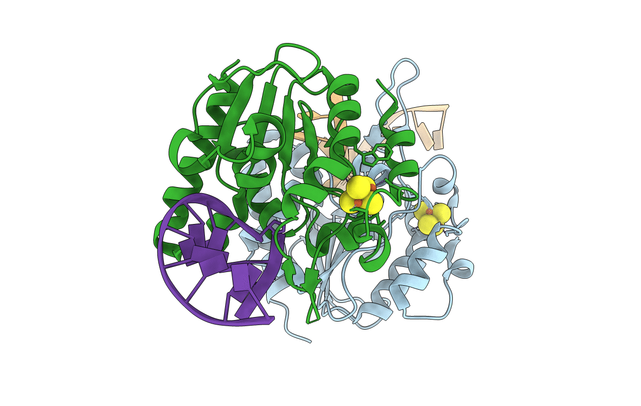 6L6S image