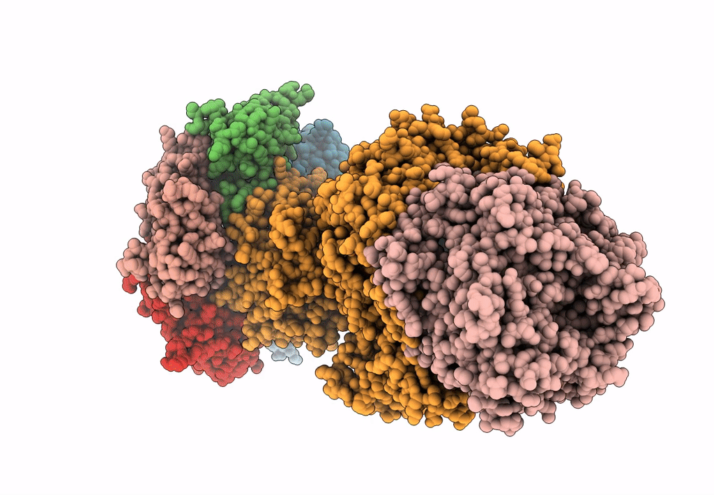 6L7I image