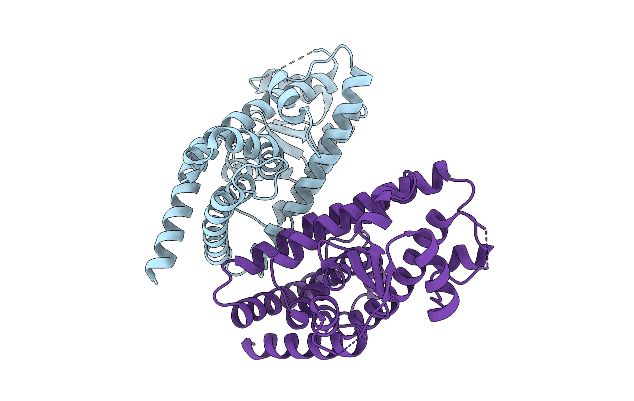 6L8B image