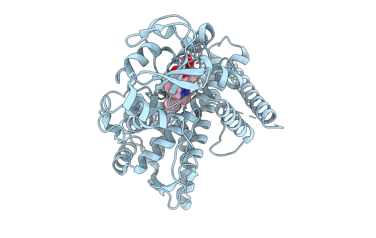 6L8I image