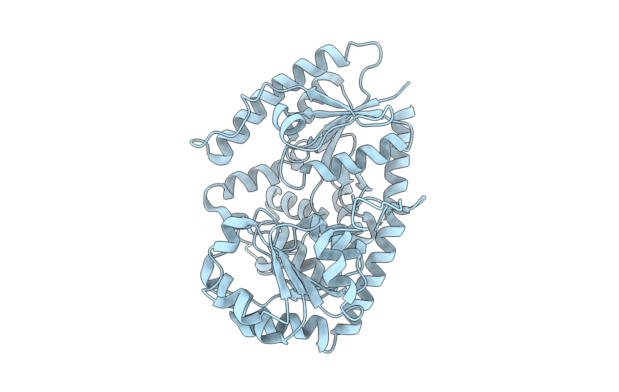 6L8W image