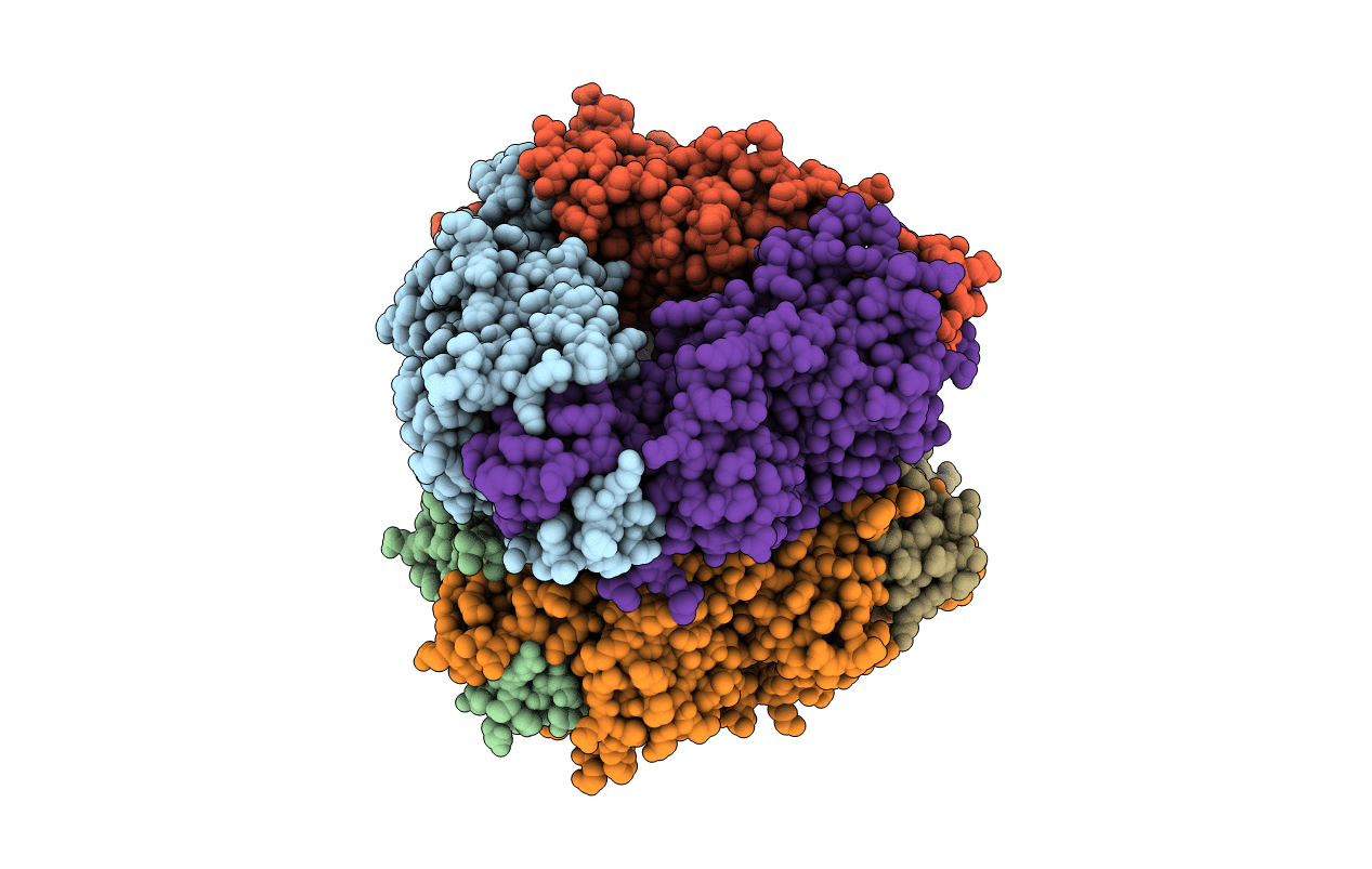 6L9I image