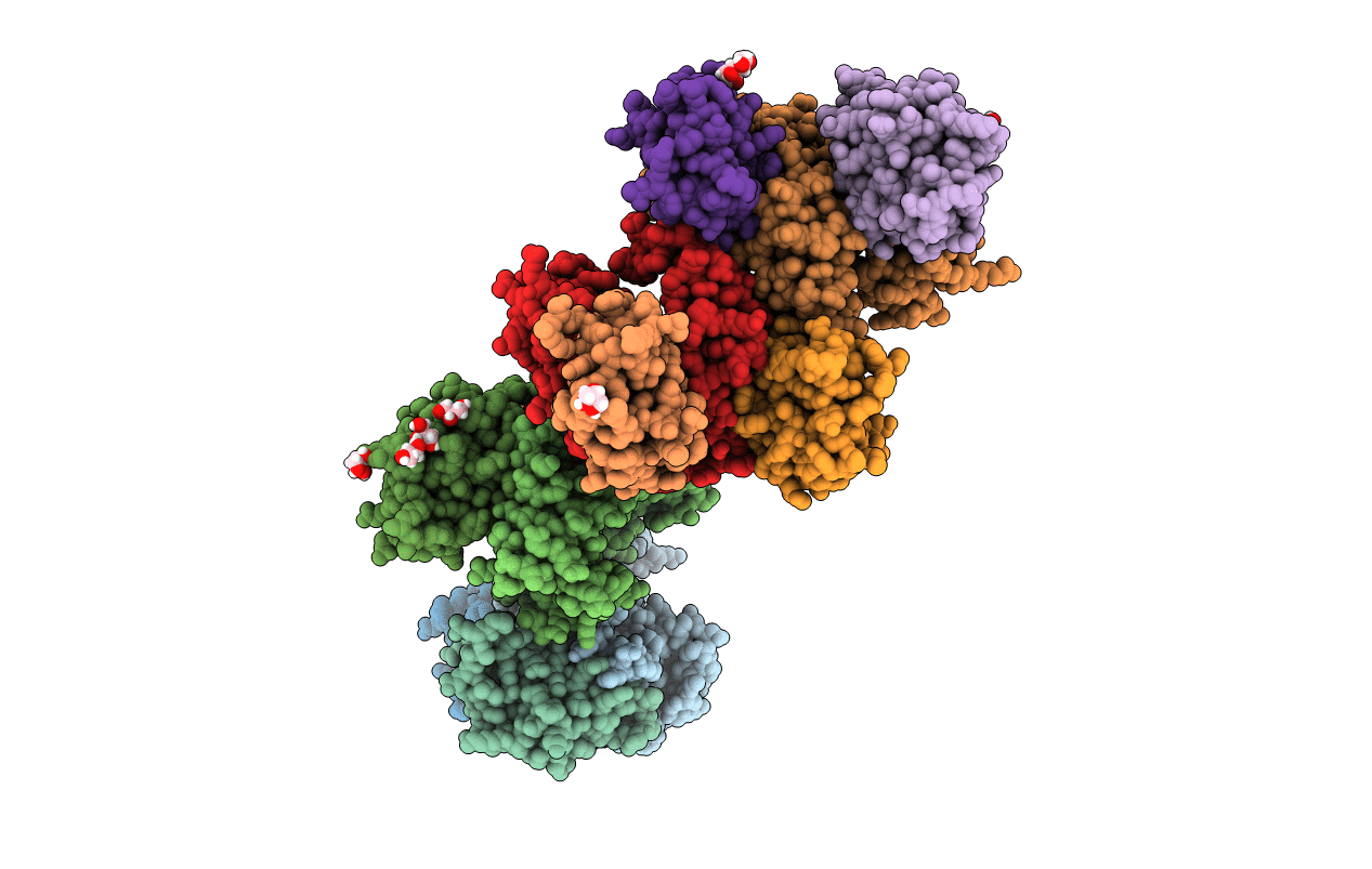 6L9J image