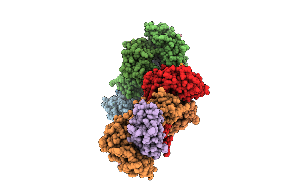 6L9N image