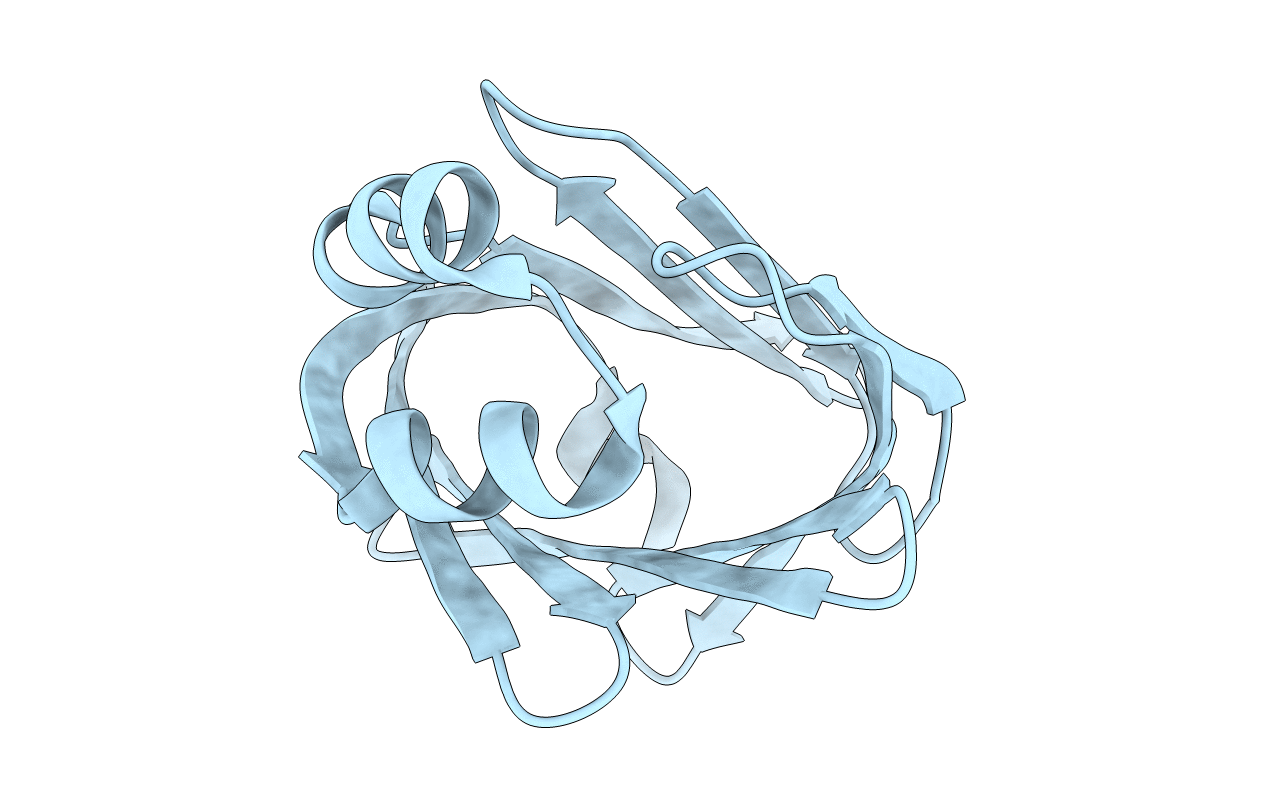 6L9O image