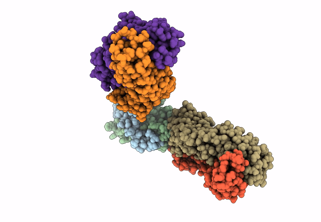 6LBH image