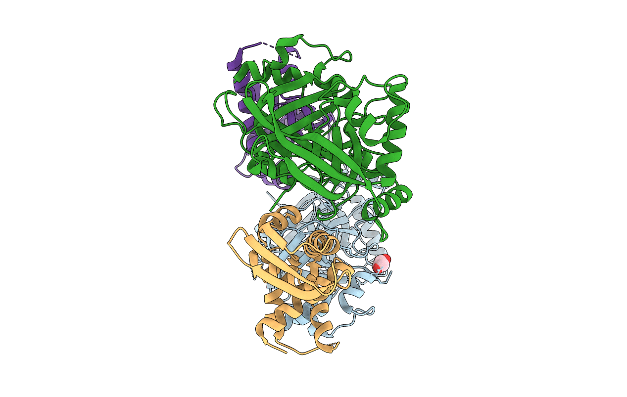 6LBT image