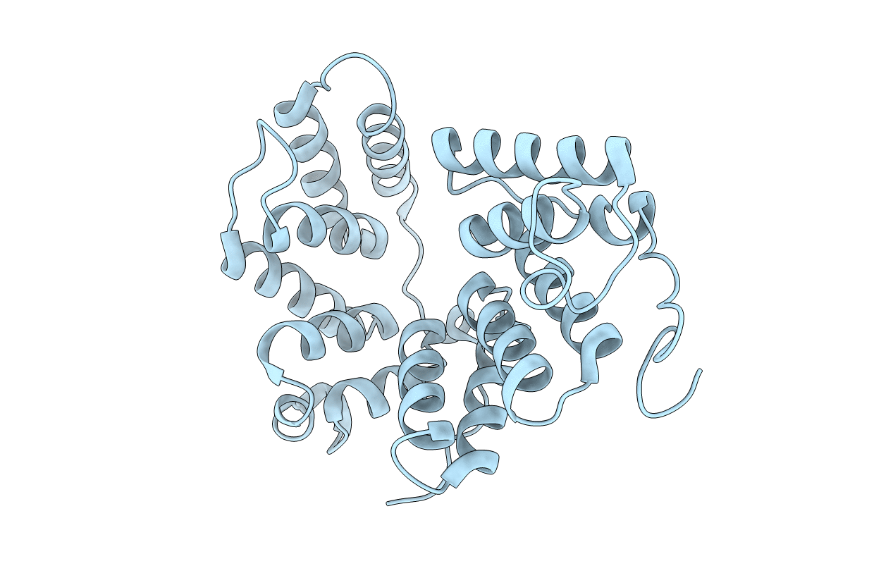6LCH image