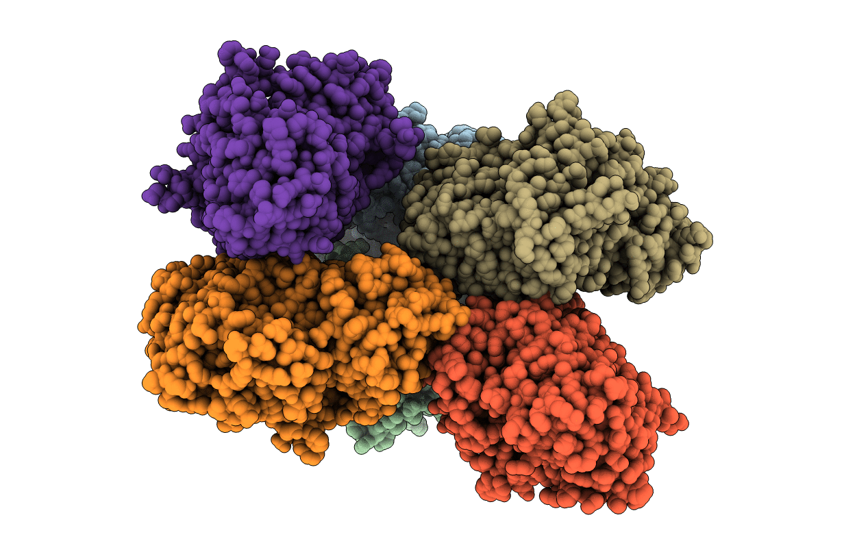 6LCJ image