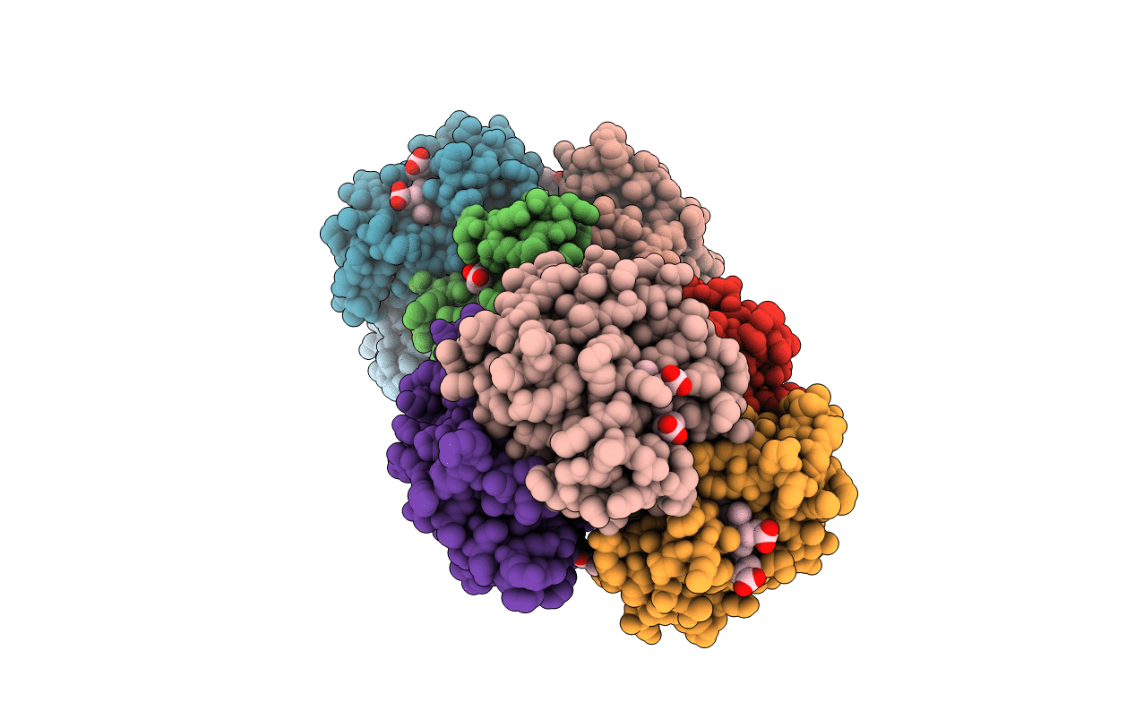 6LCW image