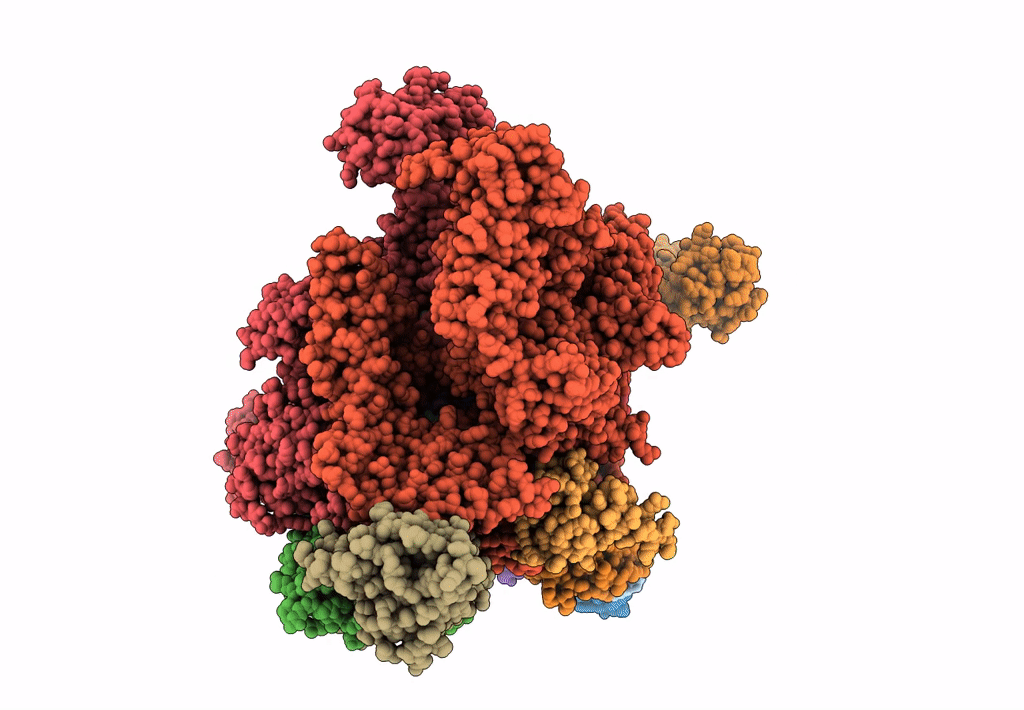 6LDI image