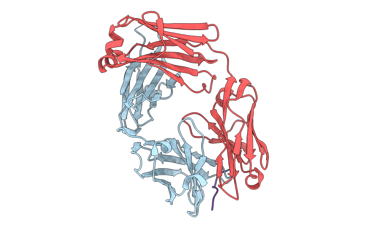 6LDV image