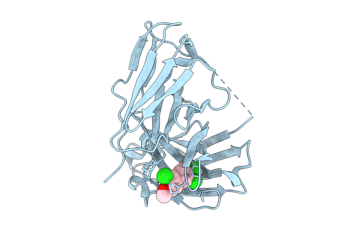 6LFX image