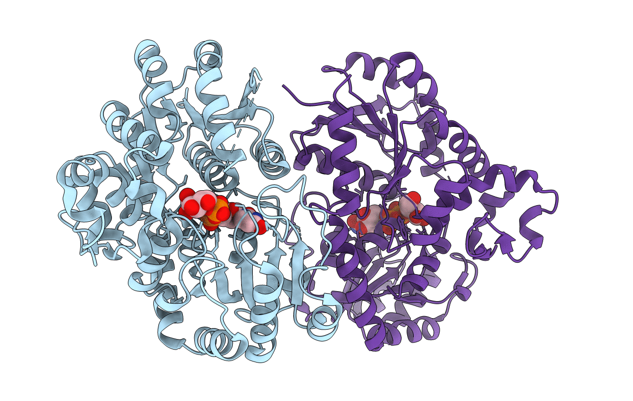 6LFZ image