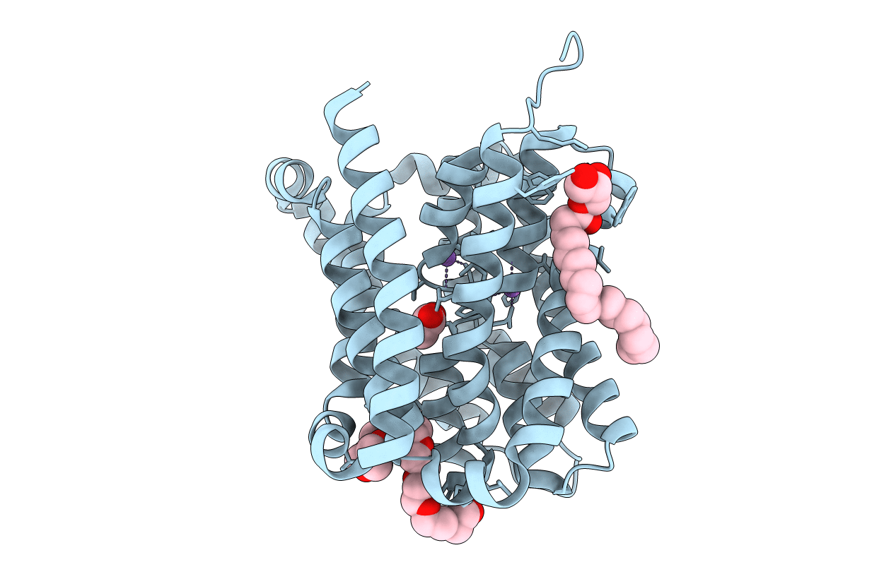 6LGY image