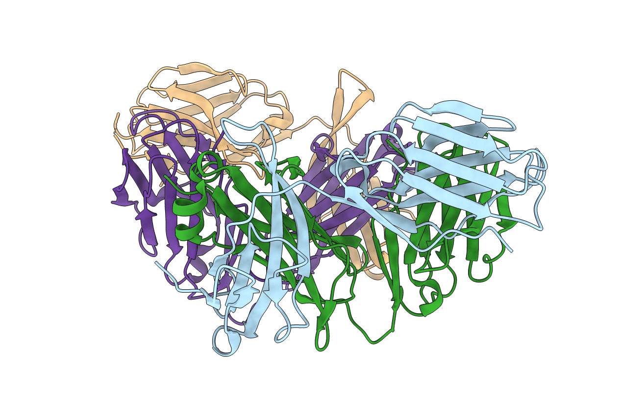 6LIR image