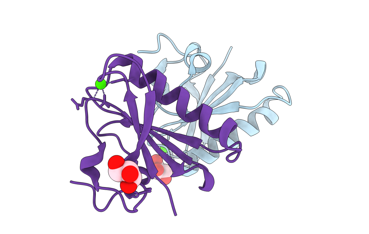 6LJE image
