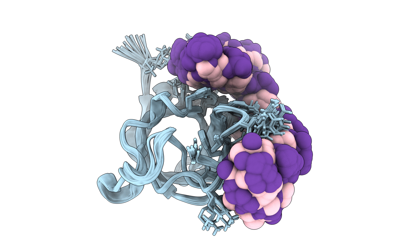 6LMR image