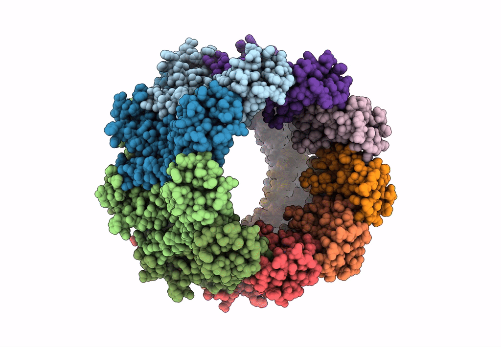 6LMV image