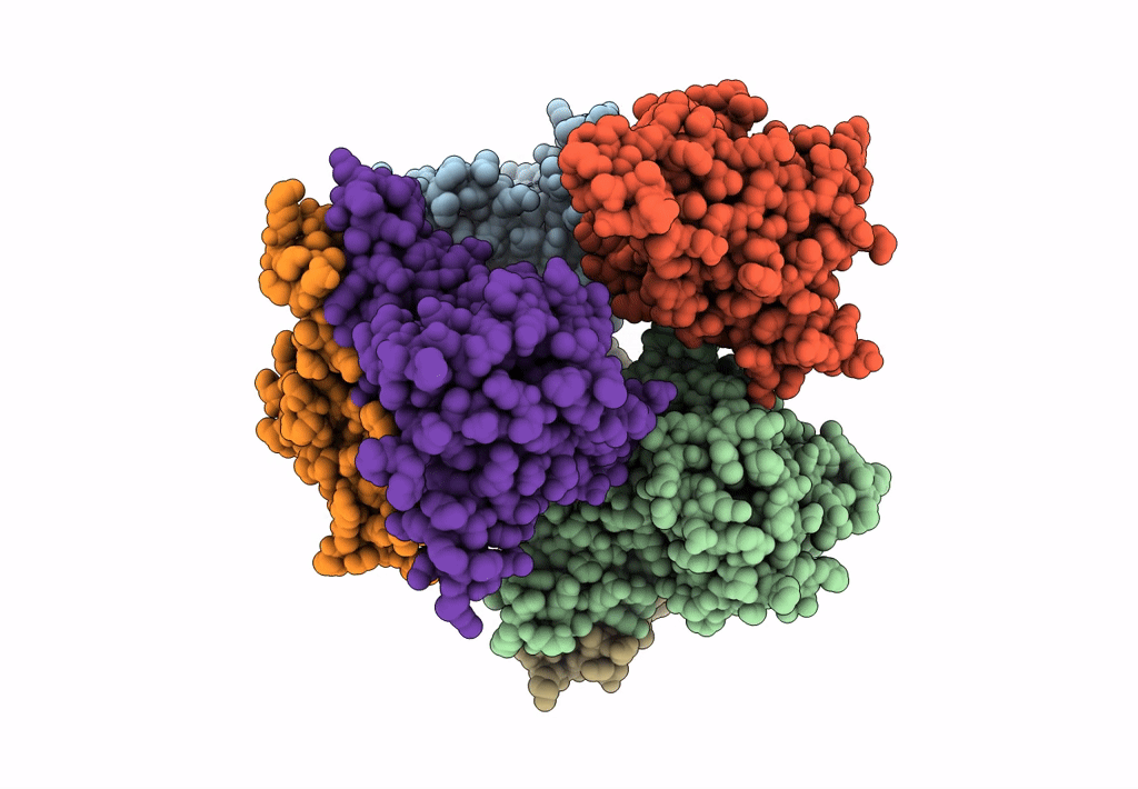 6LOI image