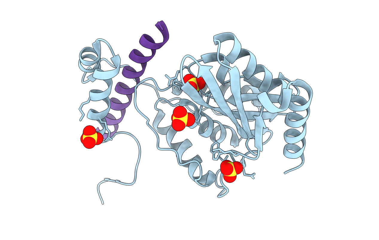 6LPG image