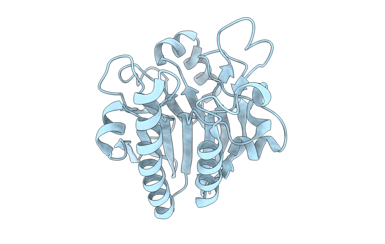 6LPM image