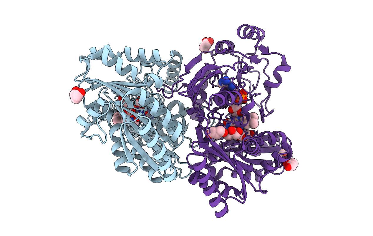 6LPP image