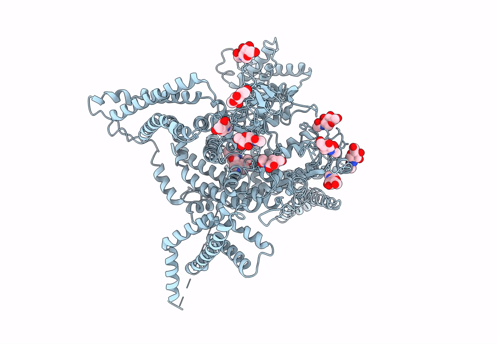 6LQA image