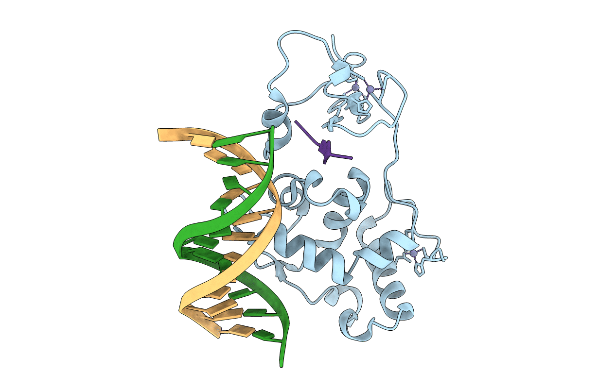 6LQF image
