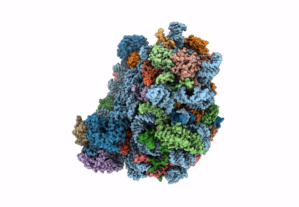 6LQM image