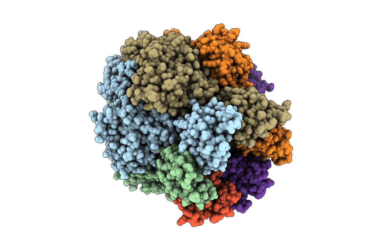 6LRB image