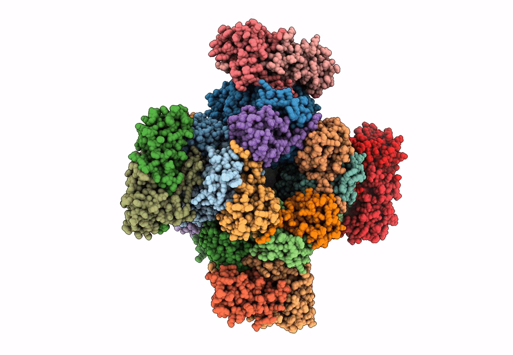 6LRR image