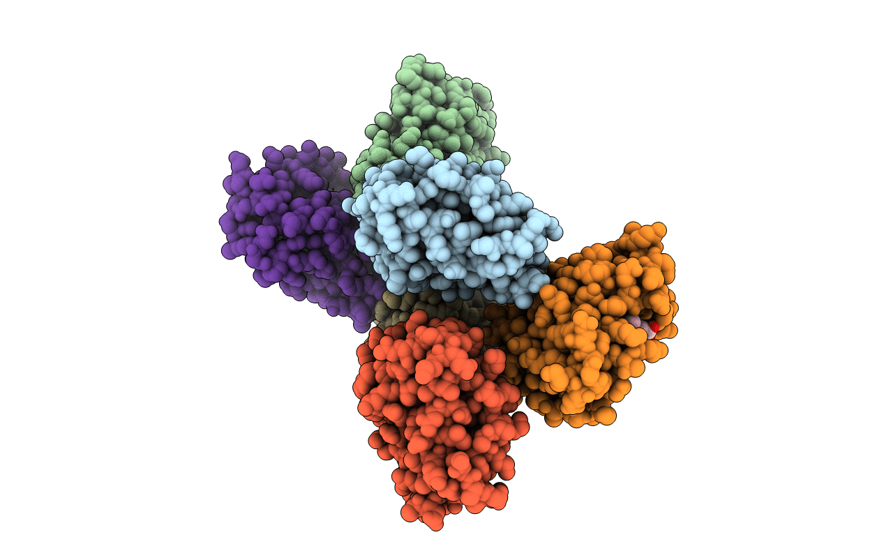 6LS8 image